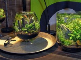 Аквариум в интерьере*