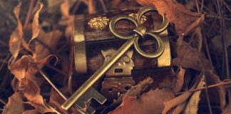 Самые надежные дверные замки