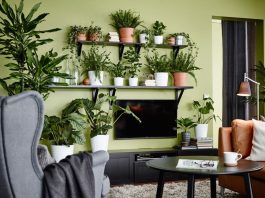 15 идей для цветочных комнат для пышного оазиса