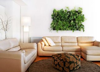 Озеленение помещения