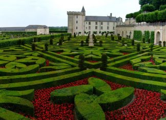 Симметричные композиции французских садов